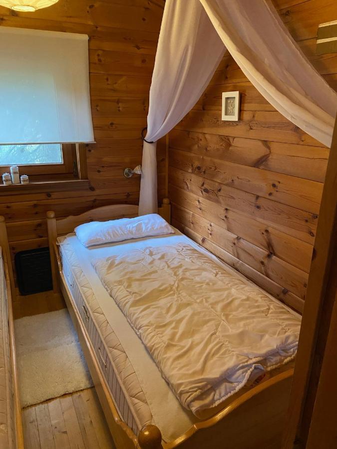 Villa Blockhaus Ferienzauber à Bromskirchen Extérieur photo
