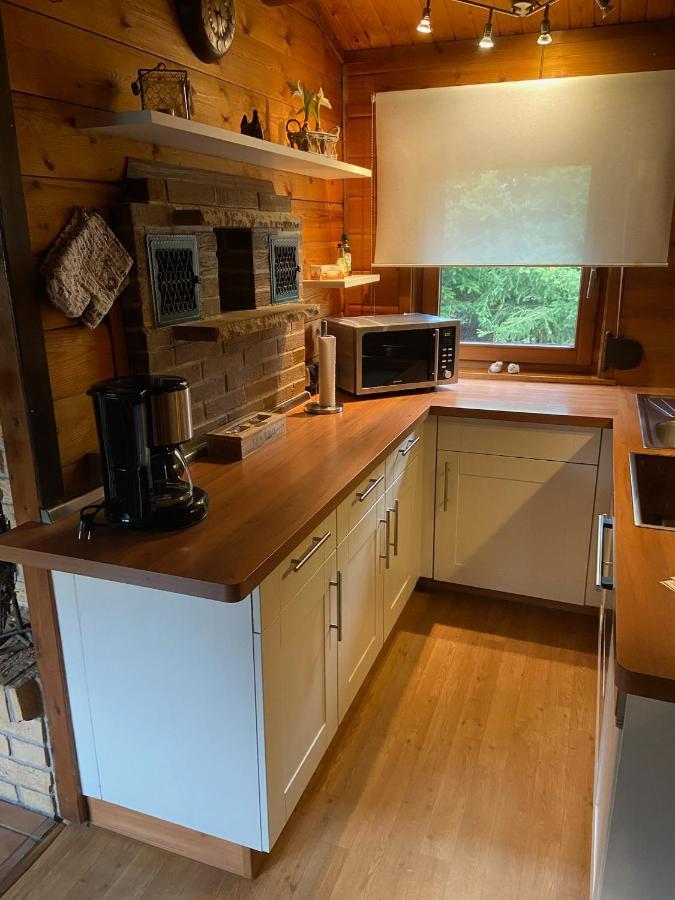 Villa Blockhaus Ferienzauber à Bromskirchen Extérieur photo