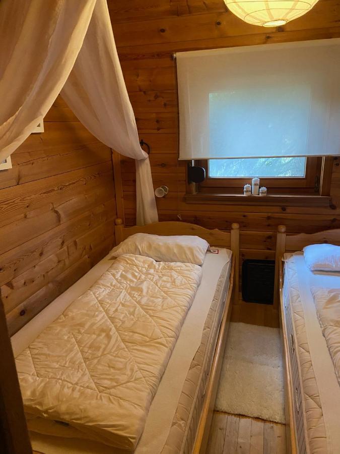 Villa Blockhaus Ferienzauber à Bromskirchen Extérieur photo